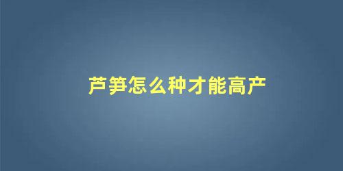 芦笋怎么样种植(芦笋种植方法芦笋栽培技术)